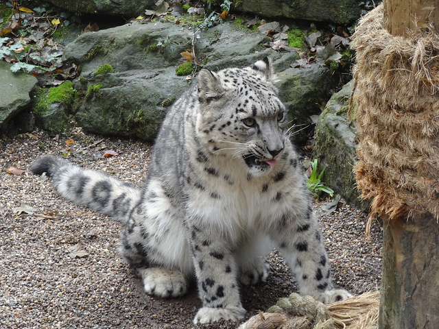 zoo